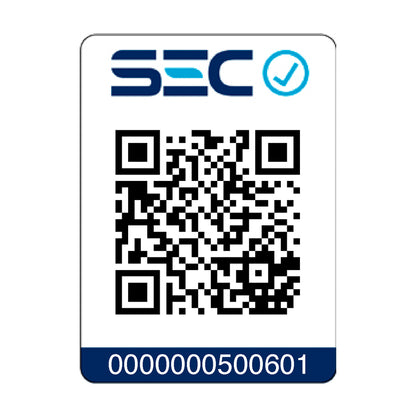 Alisador y Secador Revlon 1000W 2 en 1 RVDR5330NLA2